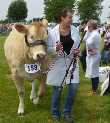 Driffield Show 2016 P1040494.jpg