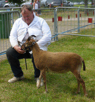 Driffield Show 2016 P1040513.jpg