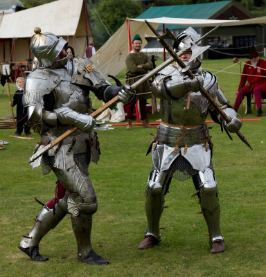Knights in Battle IMG_1058.jpg