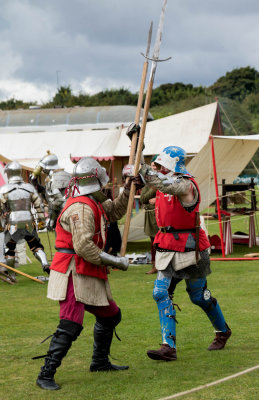 Knights in Battle IMG_1066.jpg