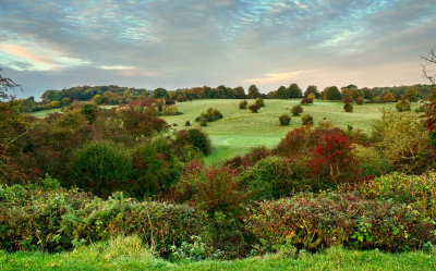 Beverley Westwood IMG_6065-2.jpg