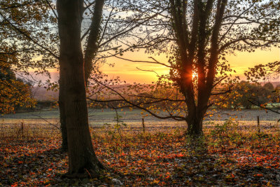 Autumn sunrise IMG_7217.jpg