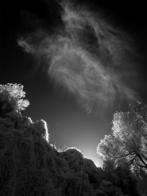 _1000111backbeach.jpg
