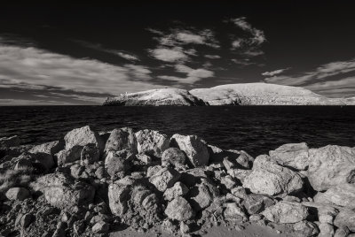 _1000264_taiaroa.jpg