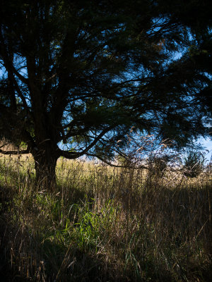 _1240417hallroad.jpg