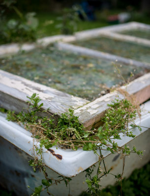 _1260800_101tub.jpg