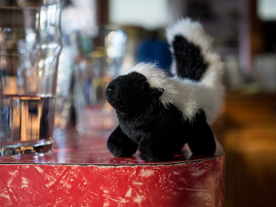 w1240617skunk.jpg