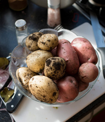 w1240704potatoes.jpg