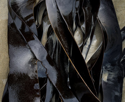 w1250078aramoana_kelp_v1.jpg