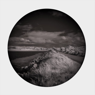 wP1260323aramoana.jpg