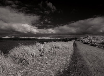 wP1260369aramoana.jpg
