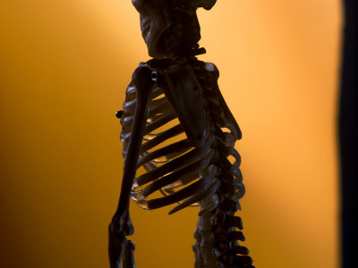 y135_soligor_3p5_1260183skellington.jpg