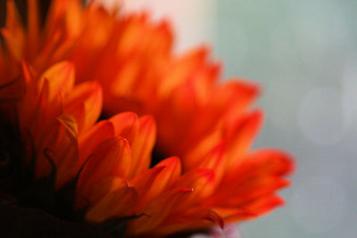 g9/20/571420/3/80438076.Zd05c5i6.jpg