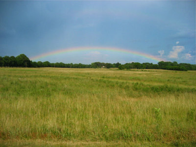 Rainbow's End