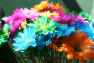 Crazy Daisies