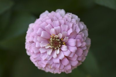 g9/20/571420/3/83313318.uh88yoaE.jpg