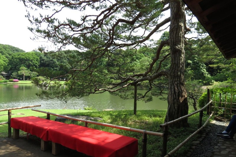 Lake view from tea house