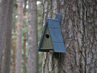 Birdhouse