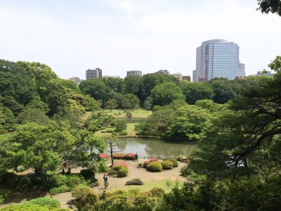  Rikugien Gardens (六義園) - an Edo period garden in modern-day Tokyo