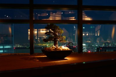 Bonsai, Tokyo Bay with En Izakaya kitchen reflection