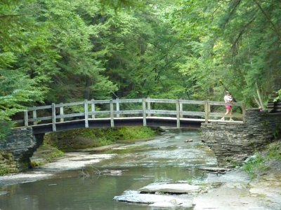 Bridge
