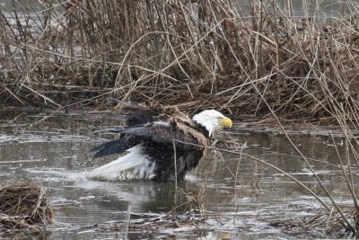 IMG_7236.jpg