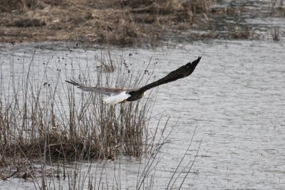 Taking off