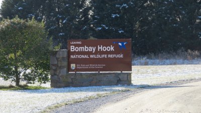 bombay_hook_national_wildlife_refuge_2016