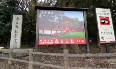  Kasha Taisha (春日大社) 