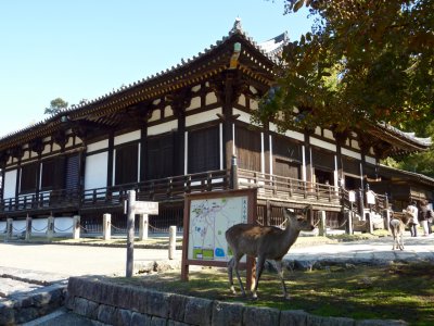 Hokke-dō (Sangatsu-dō) 法華堂 (三月堂)