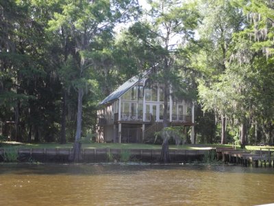 Houses along the swamp