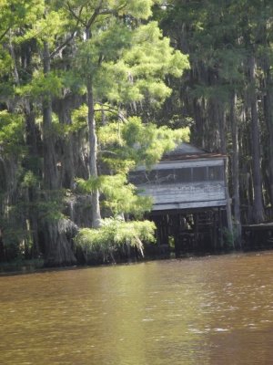 She swamp shack (look familiar)