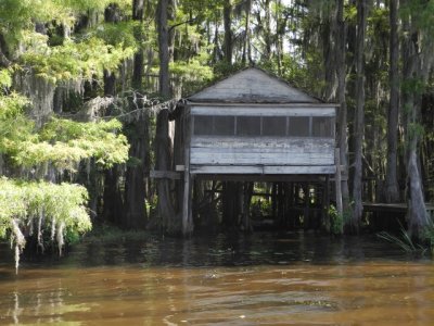 The swamp shack tree house.  Used to get around drinking laws in olden days