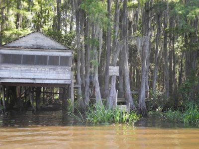 Think it looks familiar?  it is featered in the opening credits of TRUE BLOOD