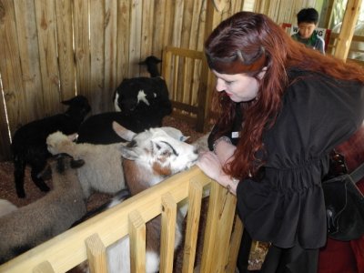 Stella found the goats