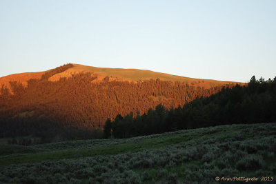 Late Day Light