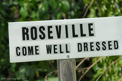 Amish town of Roseville