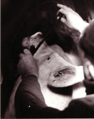 Slager 07.jpg