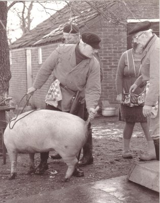 Slager 08.jpg