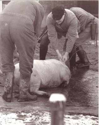 Slager 09.jpg