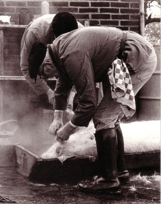 Slager 12.jpg