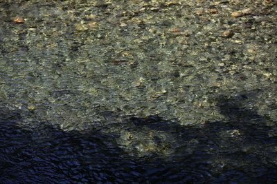 Clear river water over rocks.