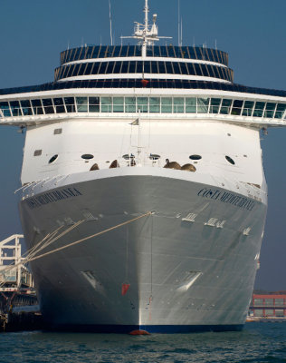 Cruise Terminal