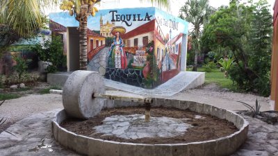 Tequilla factory at casa Mission