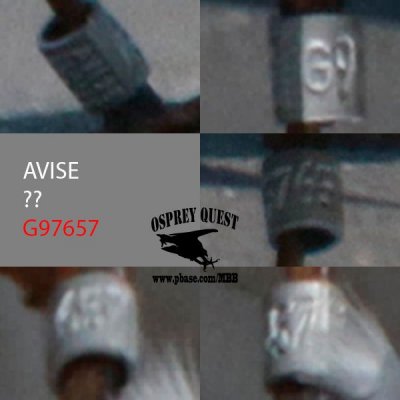 LETE AVISE G97657