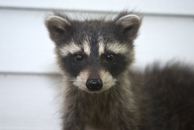 Ain't I cute??