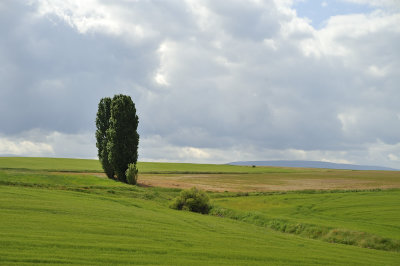 Campos de Segovia