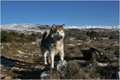 Jake in the mountain.jpg