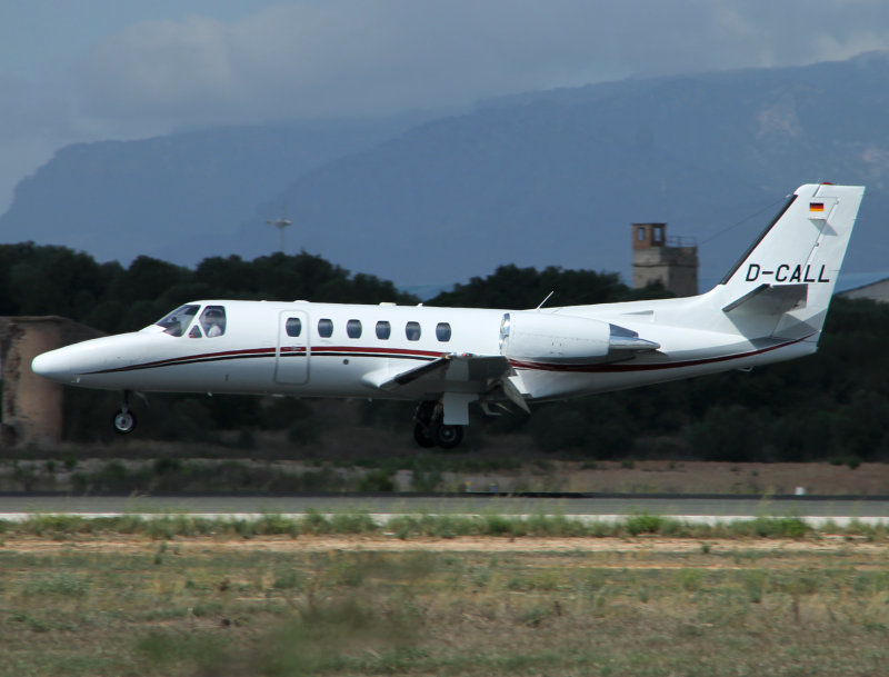 at Palma