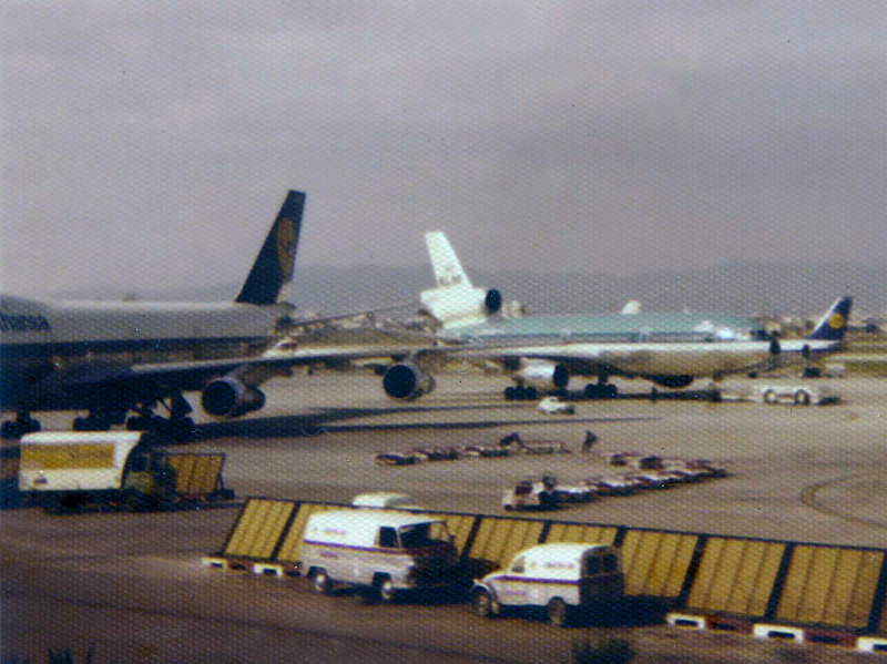 Palma 1975